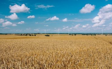Progiciel Agroalimentaire
