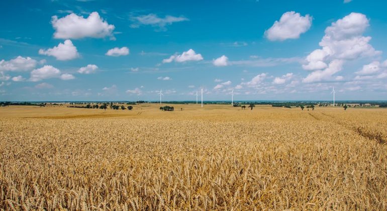 Progiciel Agroalimentaire